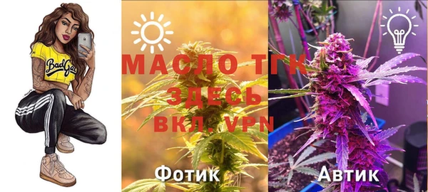 соль ск Алзамай