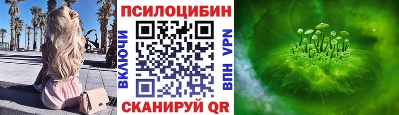 как найти Усть-Кут Псилоцибиновые грибы MAGIC MUSHROOMS